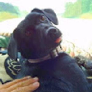 Meet your Posher, Sonja